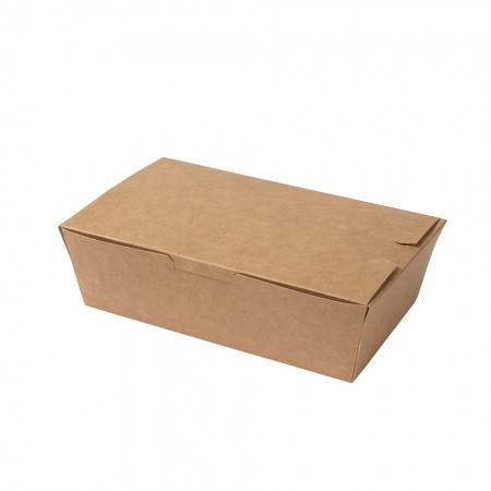 Pudełko TAKE AWAY BIOBOX brązowy KRAFT 195x115x55cm, 1000ml op.250szt